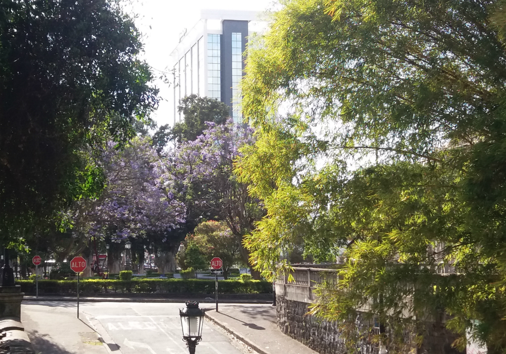 Vista al Parque Morazán, San José, Costa Rica