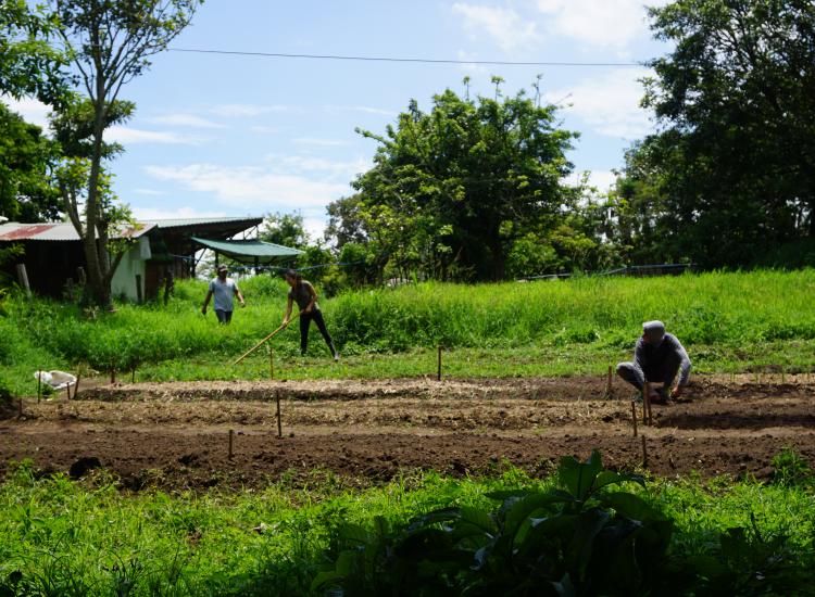 Finca Agroecológica Biamonte, Vásquez de Coronado, San José, Costa Rica. ©GIZ
