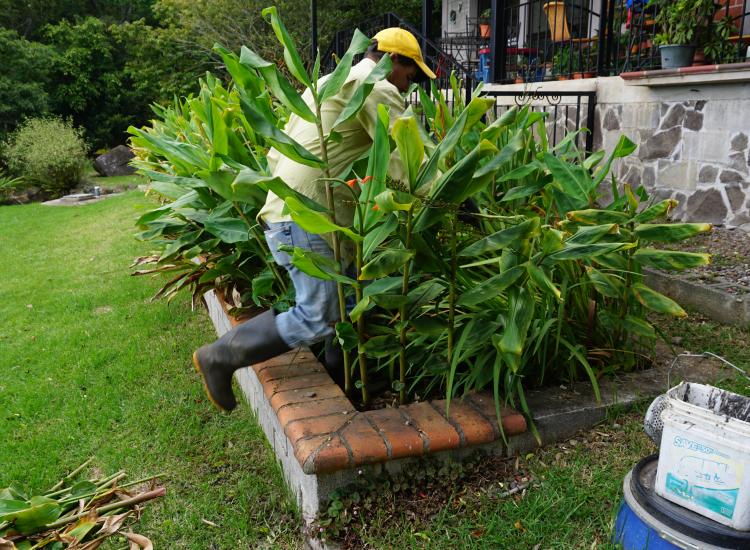Mantenimiento de bioardinera, Finca los Rosales, San Blas de Cartago, Costa Rica. ©GIZ