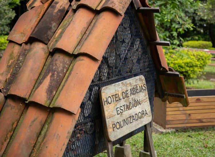 Hotel de abejas, estación polinizadora