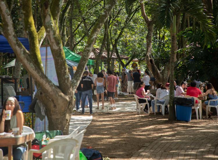 Camino en la Feria Verde, rodeado de árboles, mesas y toldos