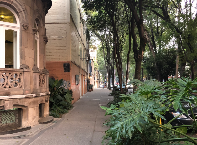 Aceras en Colonia Roma, Ciudad de México © GIZ
