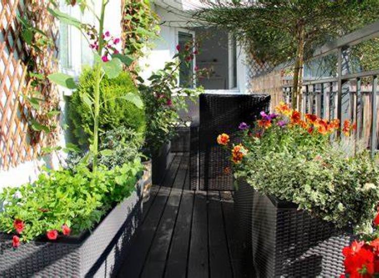 Balcón con plantas, flores y arbustos en maceteros
