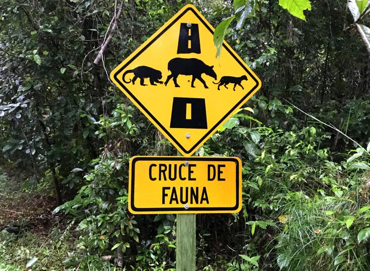 Letrero cruce de fauna © GIZ