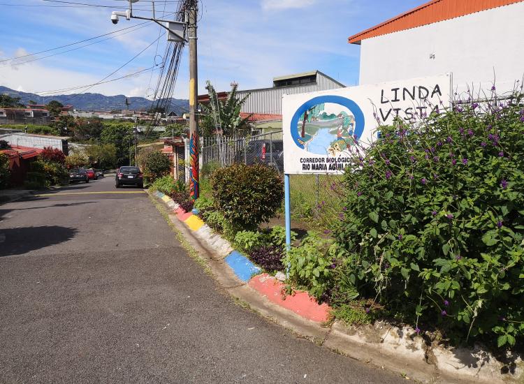 Jardín en aceras, Linda Vista, Zapote. © GIZ