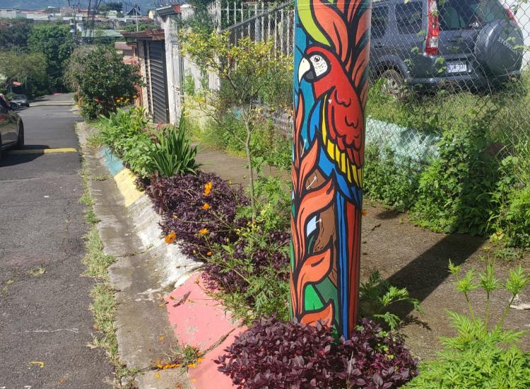 Jardín en aceras, Linda Vista, Zapote. © GIZ