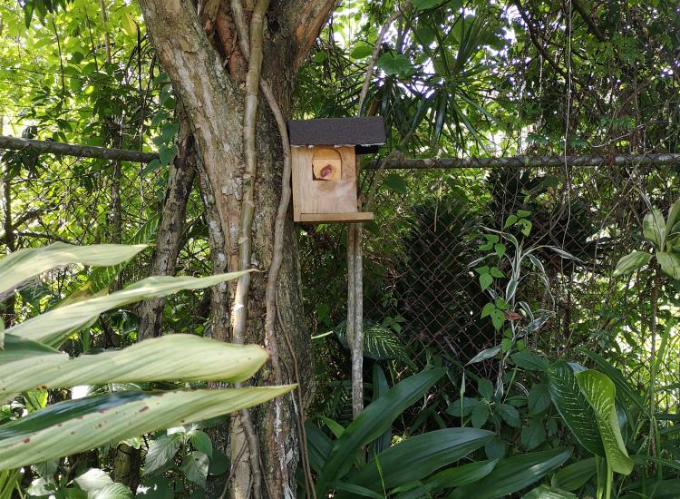 Ejemplo de ubicación del hotel de abejas, Linda Vista, Zapote ©GIZ