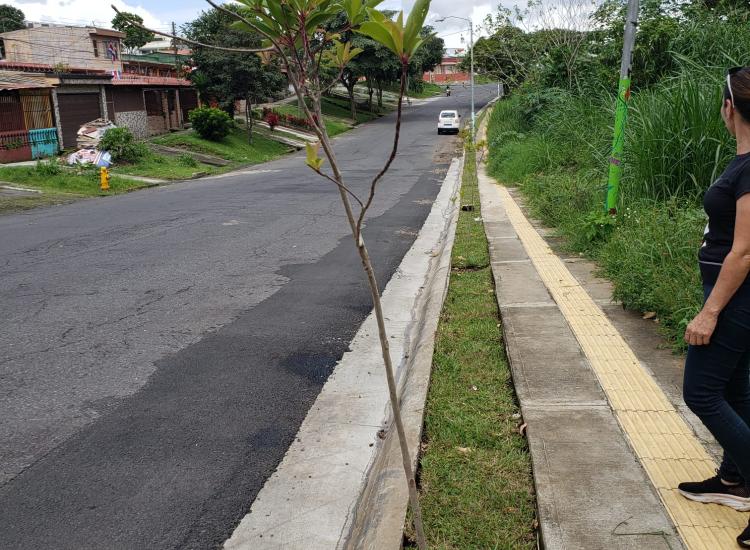 Hatillo 2 © GIZ