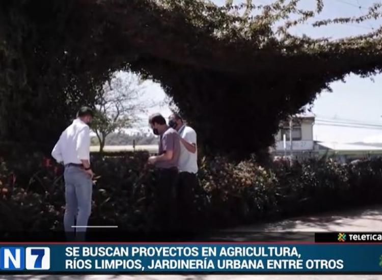 Visita de personas al jardín colgante