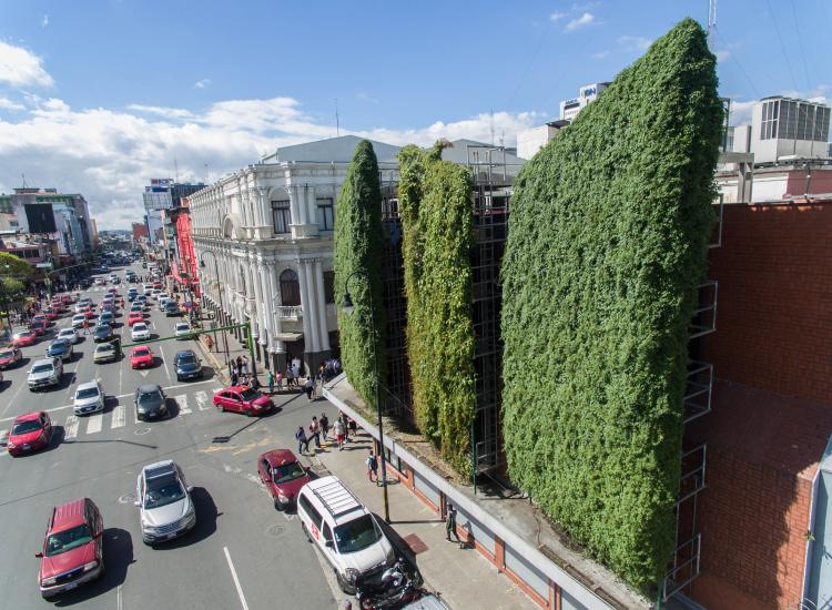 Pared verde en medio de la ciudad transitada por vehículos