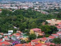 ¡Por una ciudad más verde!
