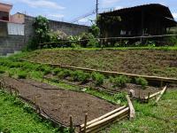 Huertas urbanas