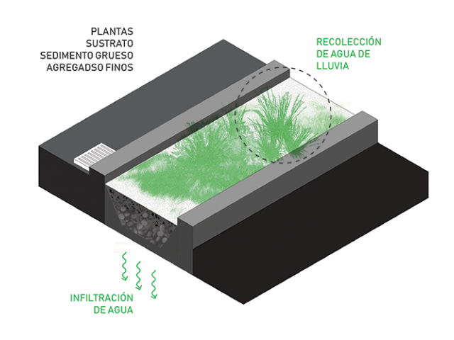 Cuneta verde
