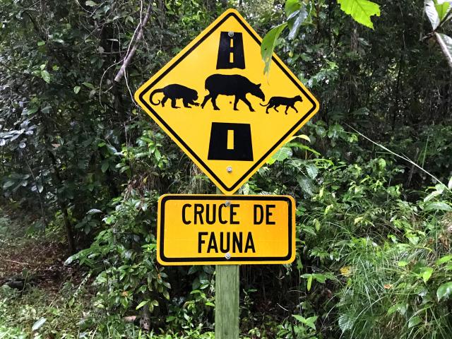 Letrero cruce de fauna © GIZ