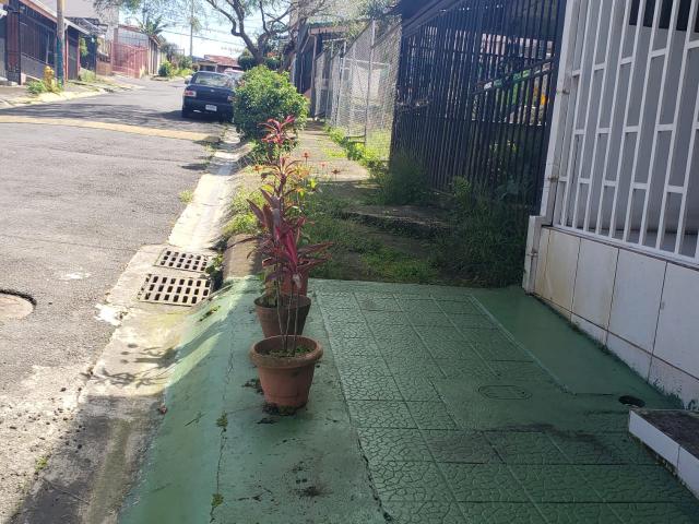 Jardín en aceras, Linda Vista, Zapote. © GIZ