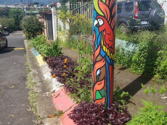 Jardín en aceras, Linda Vista, Zapote. © GIZ