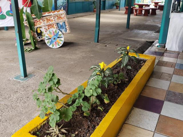 Jardineras, Escuela 15 de Setiembre, Hatillo © GIZ