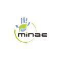 Ministro de Ambiente y Energía