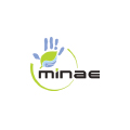 Ministro de Ambiente y Energía