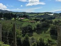 Zarcero
